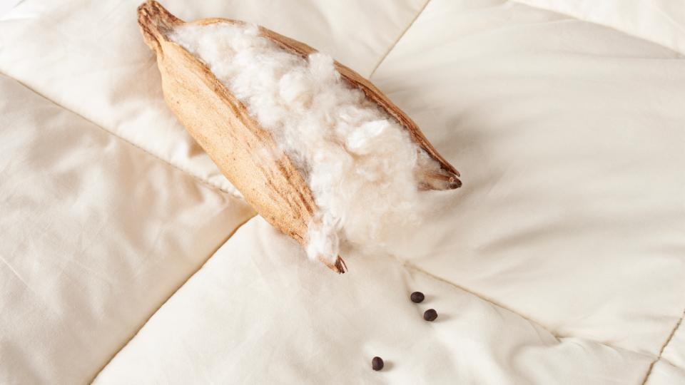 KAPOK + DUN = en unik naturlig blanding