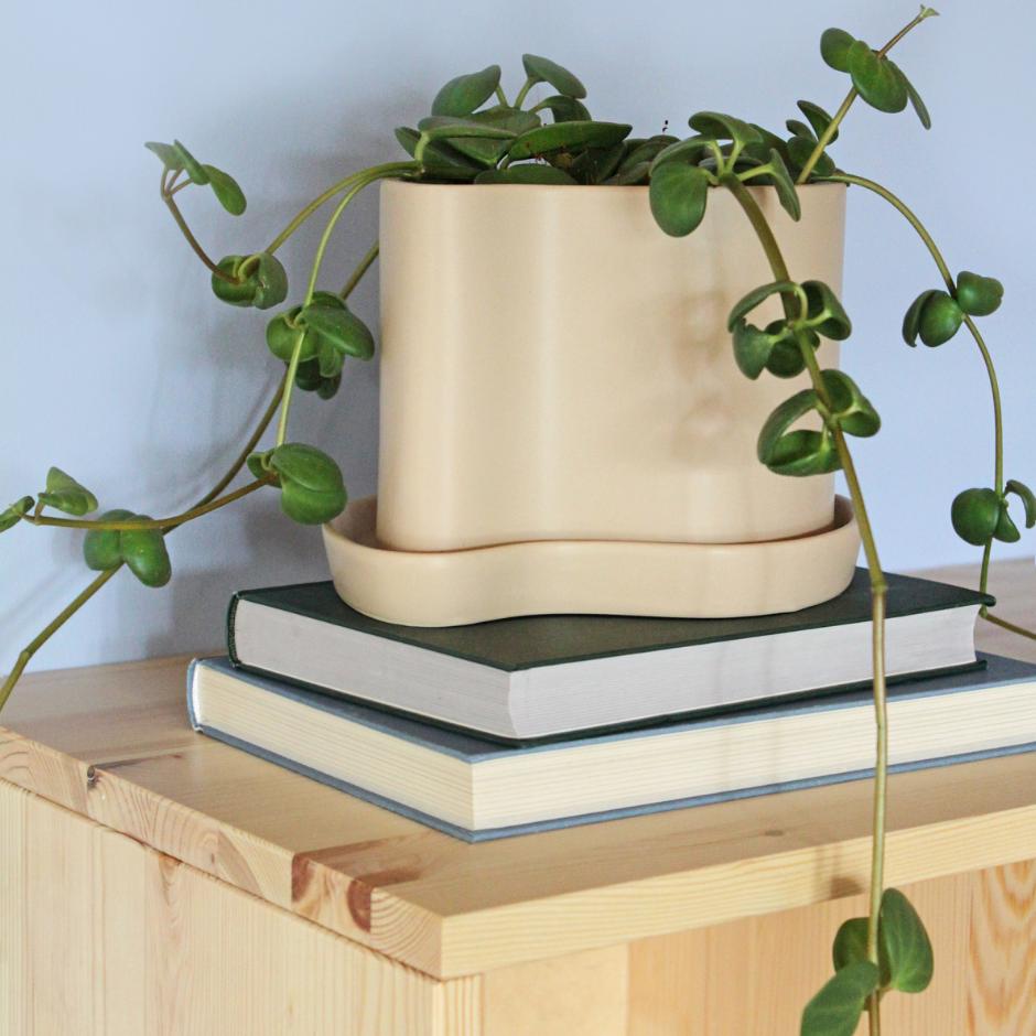 Silhouette urtepotteskjuler, sandfarvet