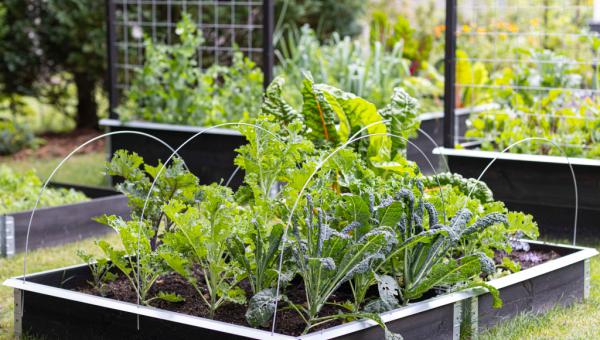 Upyard: Skandinavisk design og funktionalitet til din have