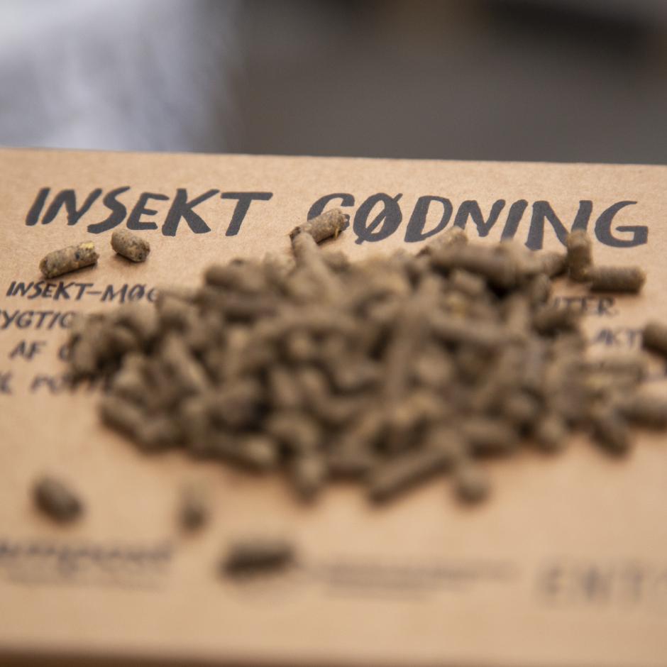 Insekt Gødning - Til have- og stueplanter