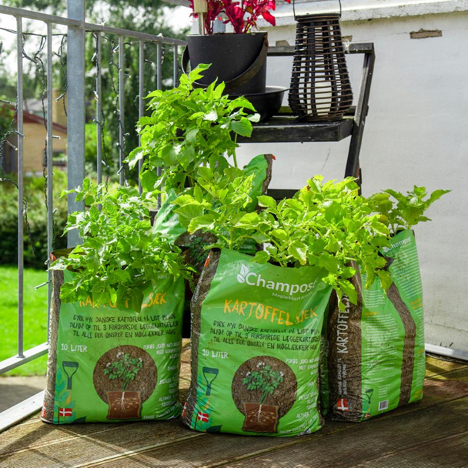 Kartoffelsæk - Spagnumfri