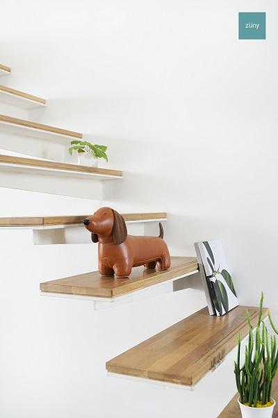 Zuny Teckel (gravhund)