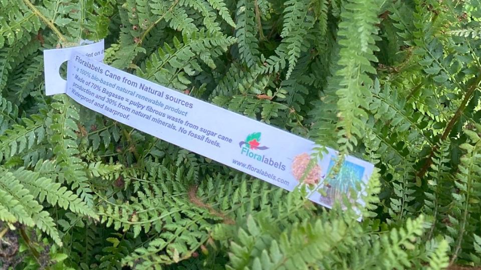 Bæredygtige etiketter