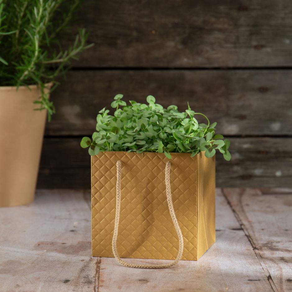 Luxpose med plastindlæg