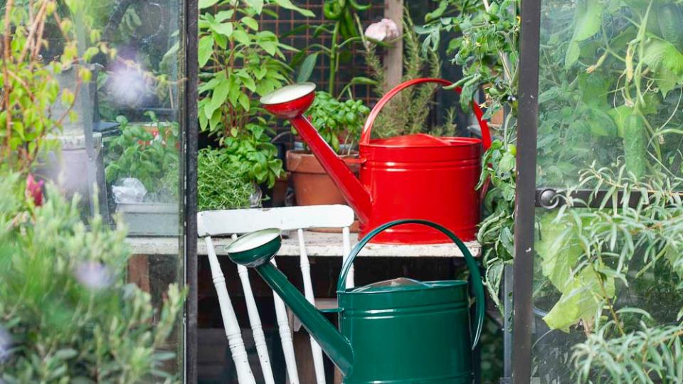 Gardenmind vattenkanna