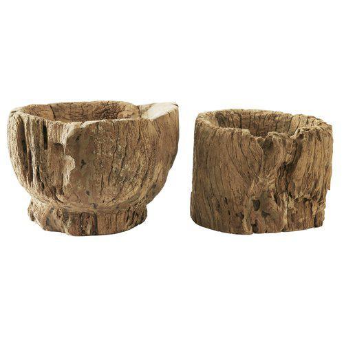 Organique decoration