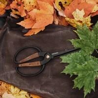 Garden scissors