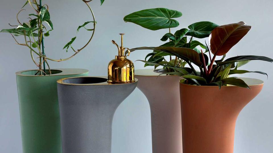 Rocky Root - Flowertable