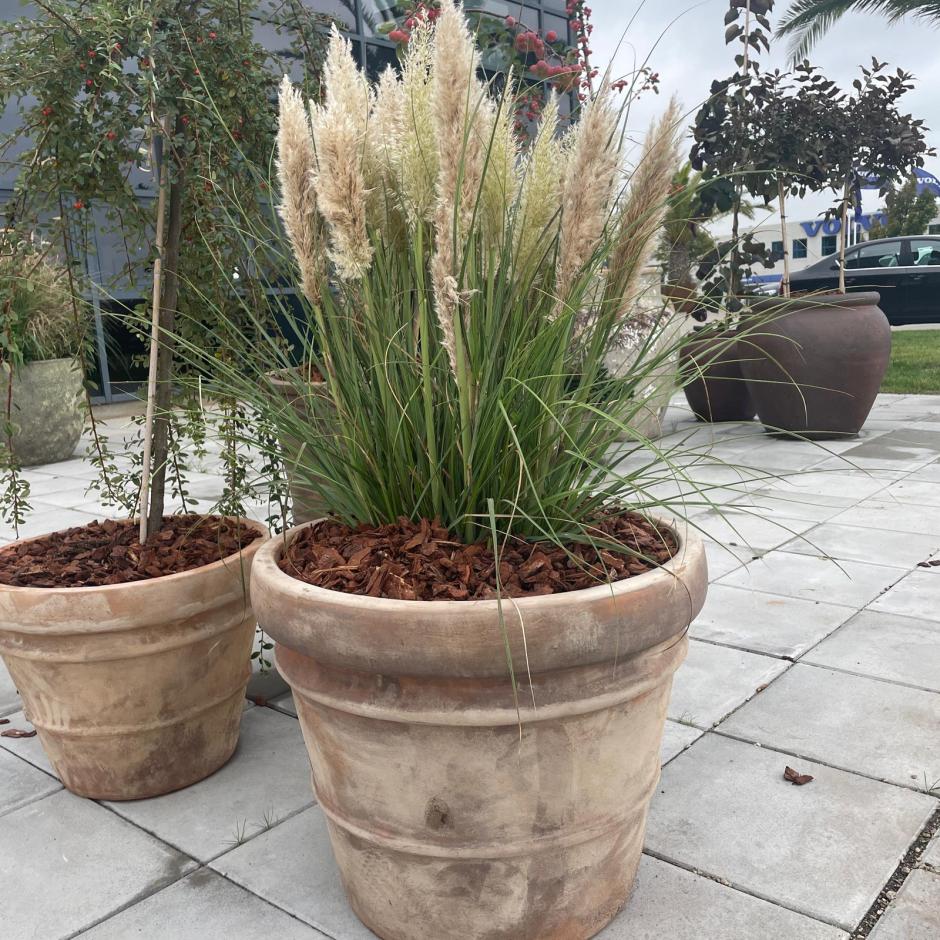 Terracotta Krukker enkelte og sæt