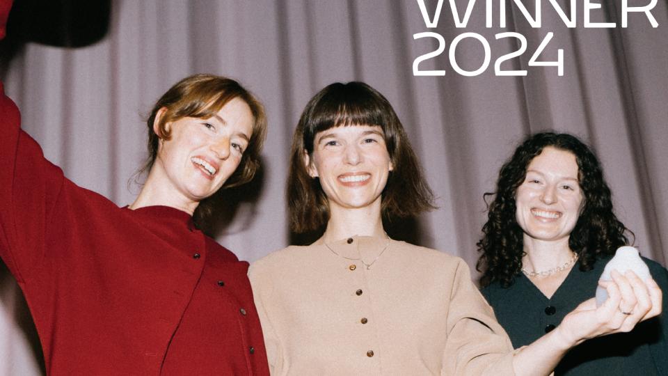 Winner of Danish Design Award - But why?