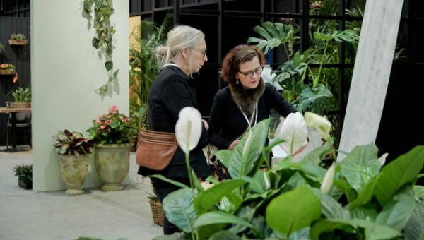 Formlands Greenhouse bliver et oplevelsesunivers