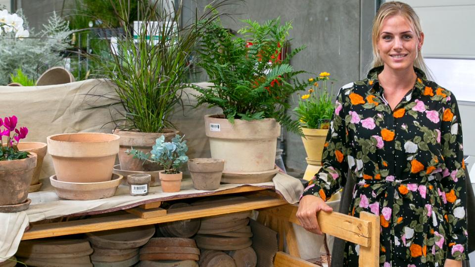 W.E.T. By Pot Olé tilbage på Formland