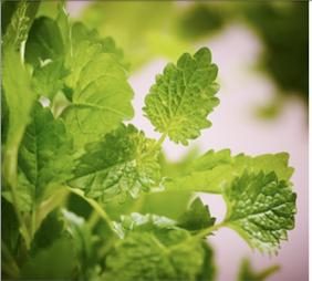 Sov bedre med Wbalance