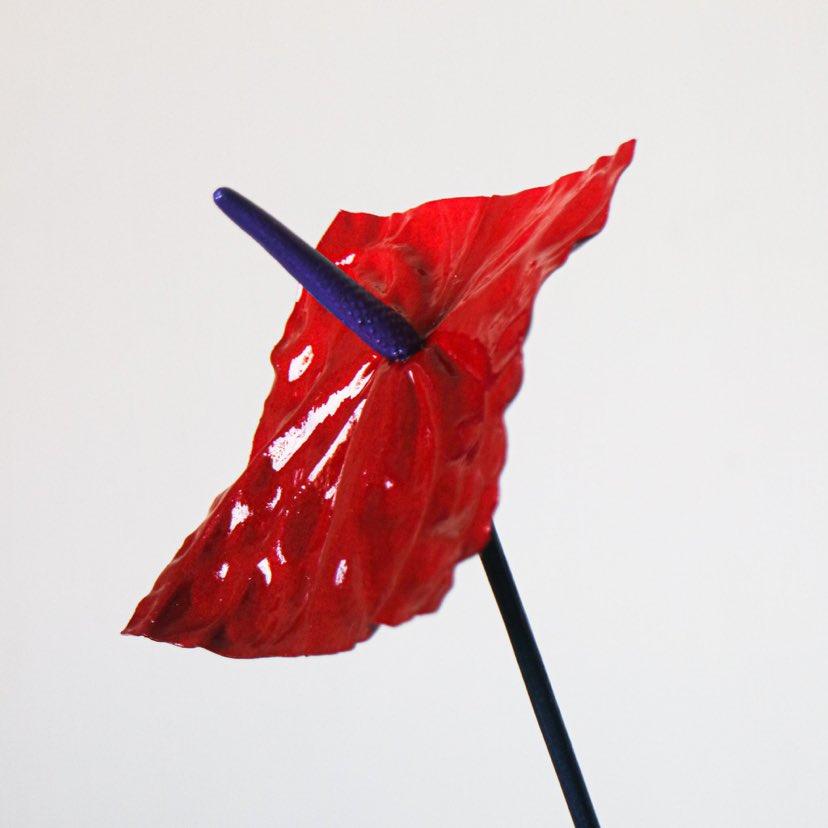 The Atrium Collection