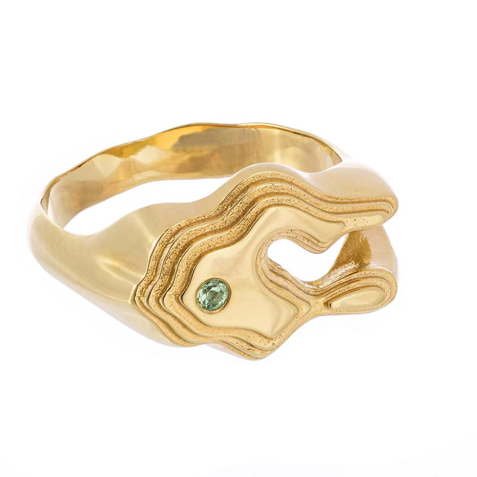Intuition ring
