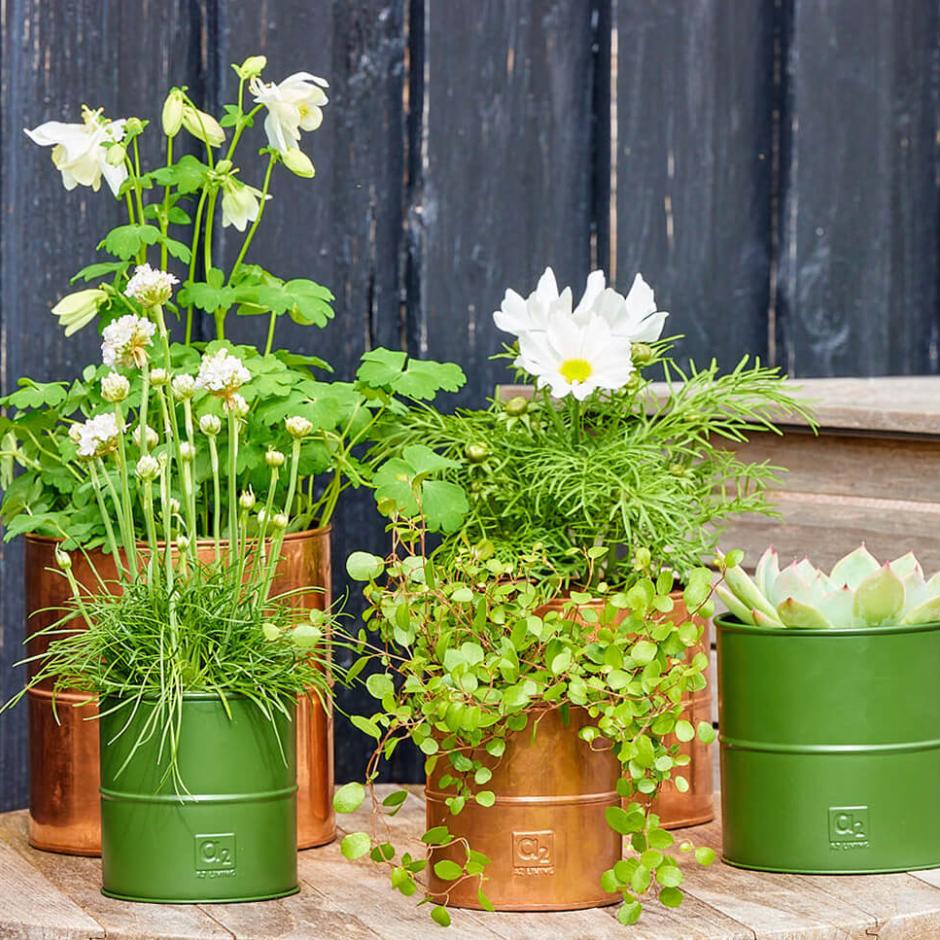 Potter og Bakker - i de skønneste farver...