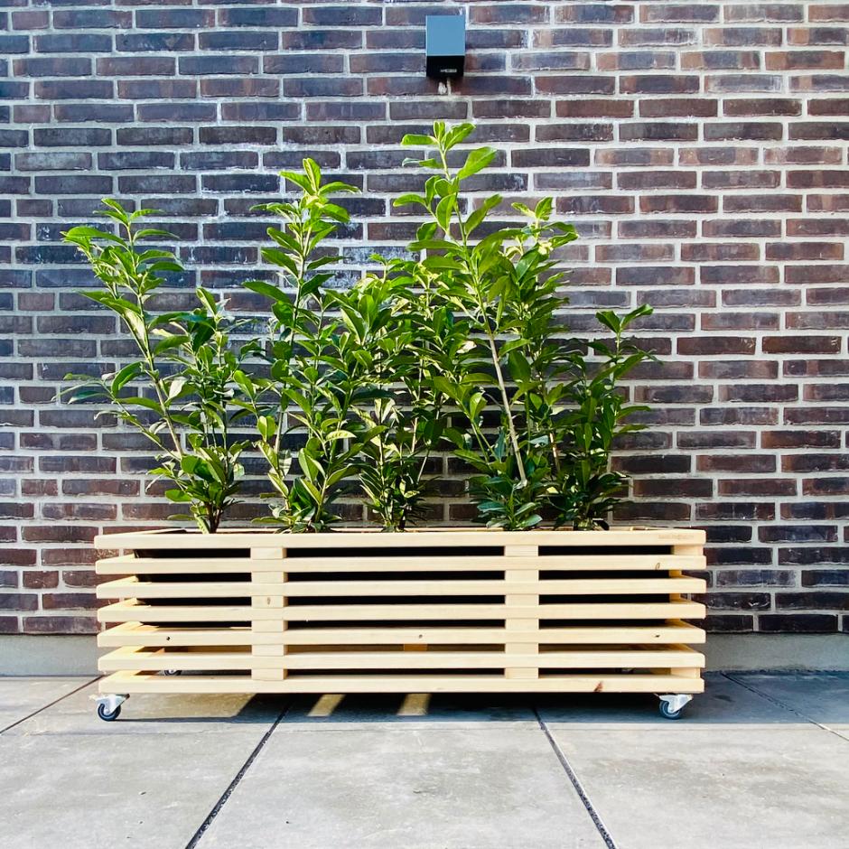 Plantekasse af traller