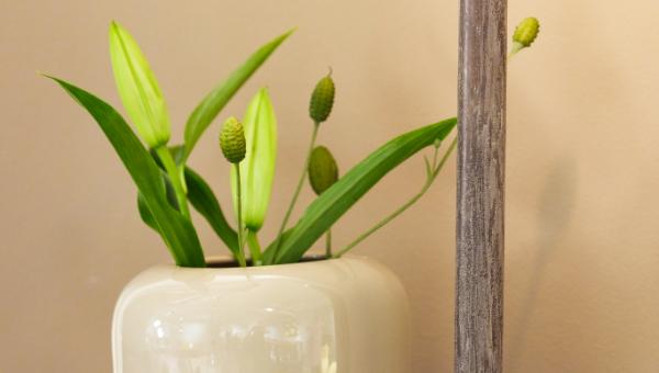 Håndlavede keramik-nyheder med unikke former