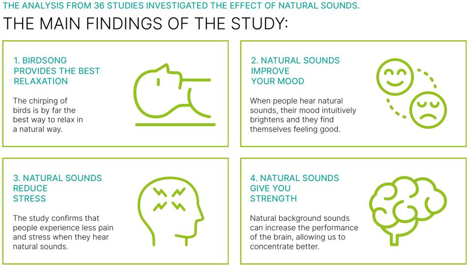 Birdsong good for your wellbeeing