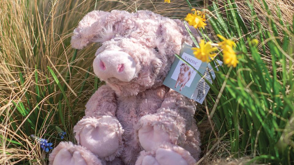 Wrendale Designs Plush Collection