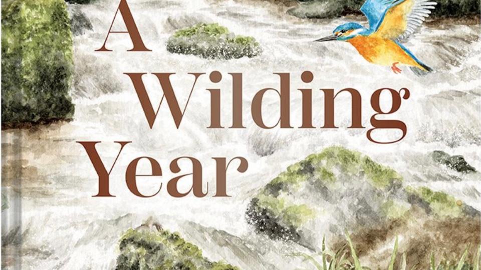 Wrendale Designs - Re Wilding