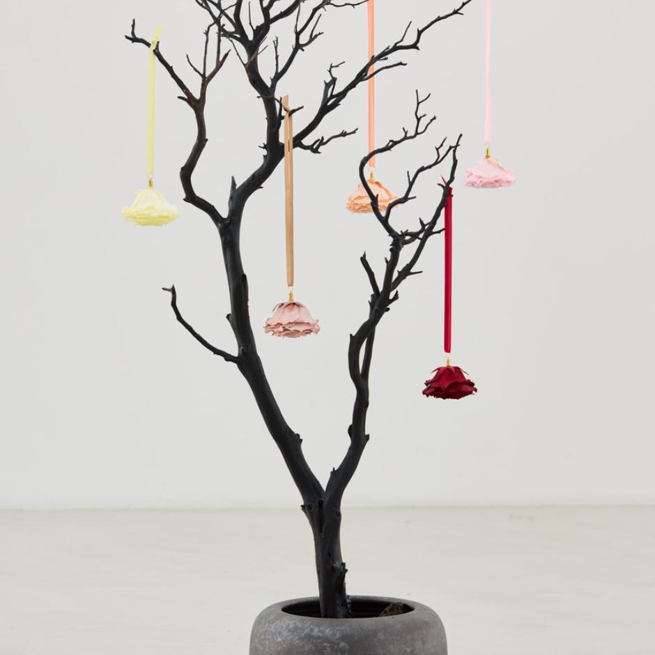 BOBÜLL - Evighedsroser i særklasse