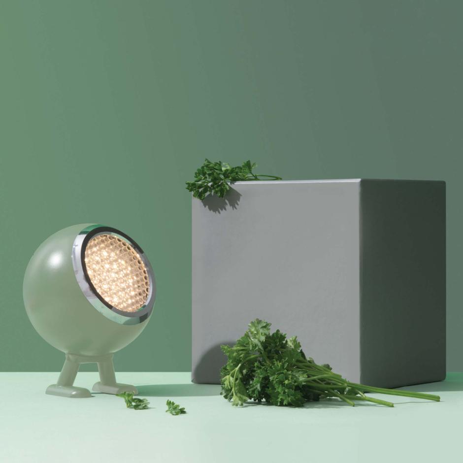 Norbitt in Herby Green