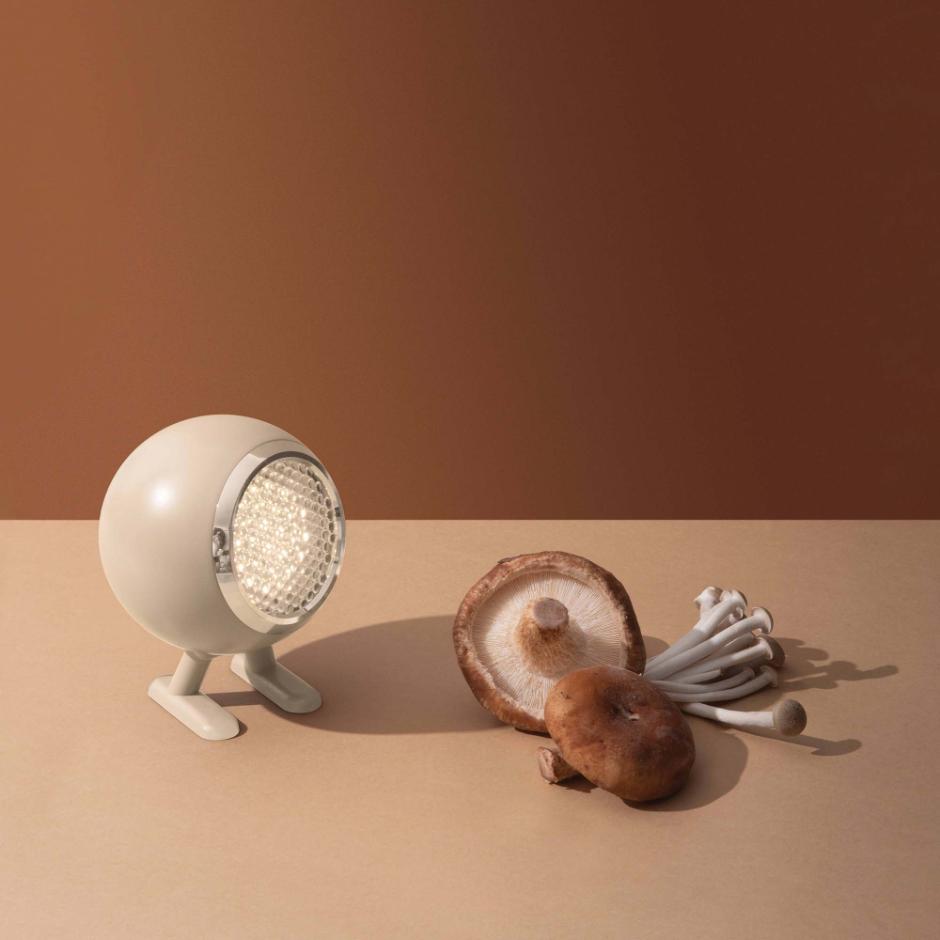 Norbitt in Mushroom Brown